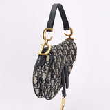 Dior Trotter Mini Saddle with Guitar Strap