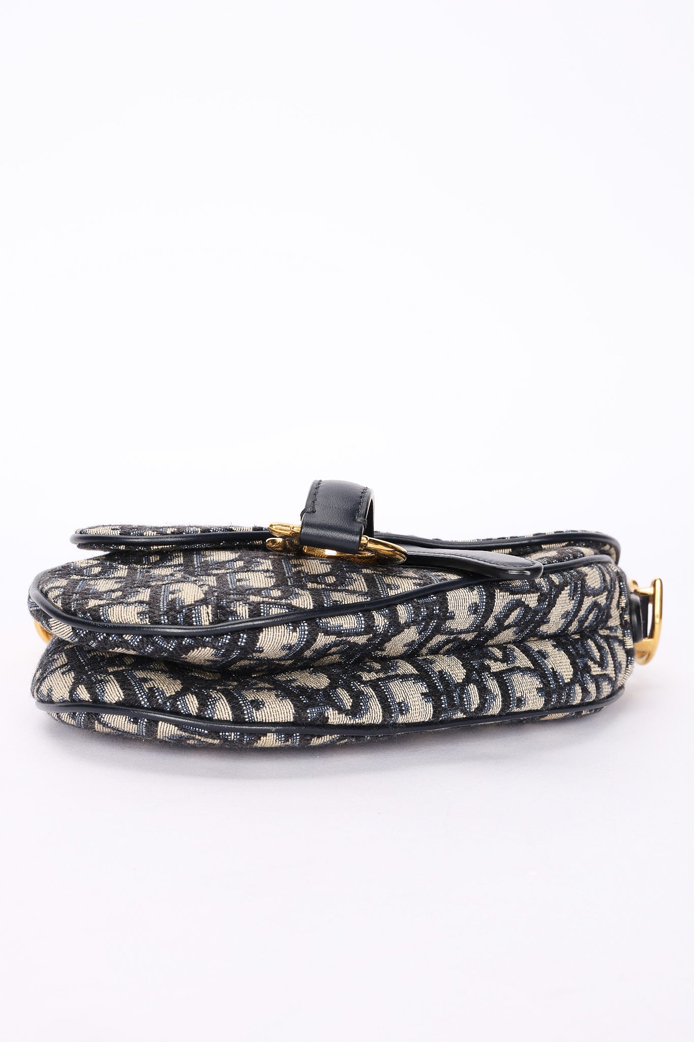 Dior Trotter Mini Saddle with Guitar Strap