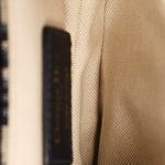 Dior Trotter Mini Saddle with Guitar Strap
