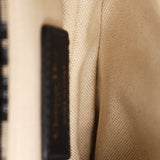 Dior Trotter Mini Saddle with Guitar Strap