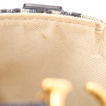 Dior Trotter Mini Saddle with Guitar Strap