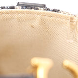 Dior Trotter Mini Saddle with Guitar Strap