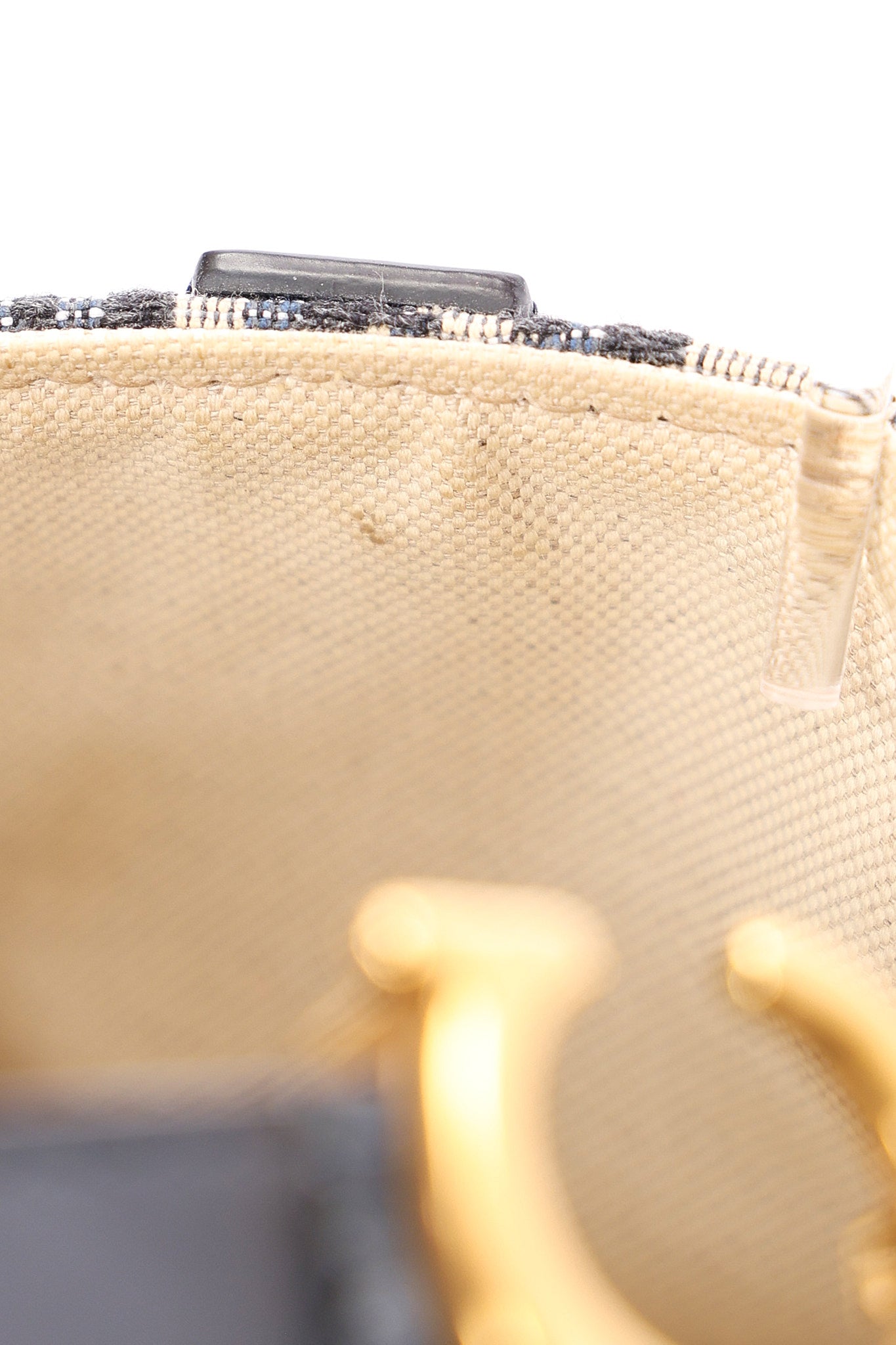 Dior Trotter Mini Saddle with Guitar Strap