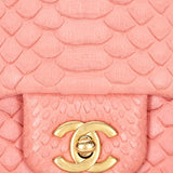 Chanel Bag Pink Lizard AGHW