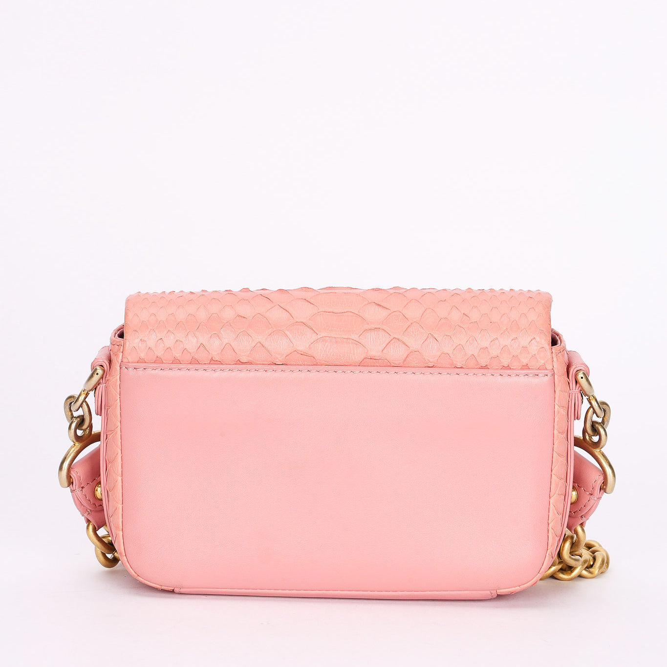 Chanel Bag Pink Lizard AGHW