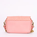 Chanel Bag Pink Lizard AGHW