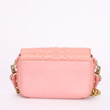 Chanel Bag Pink Lizard AGHW