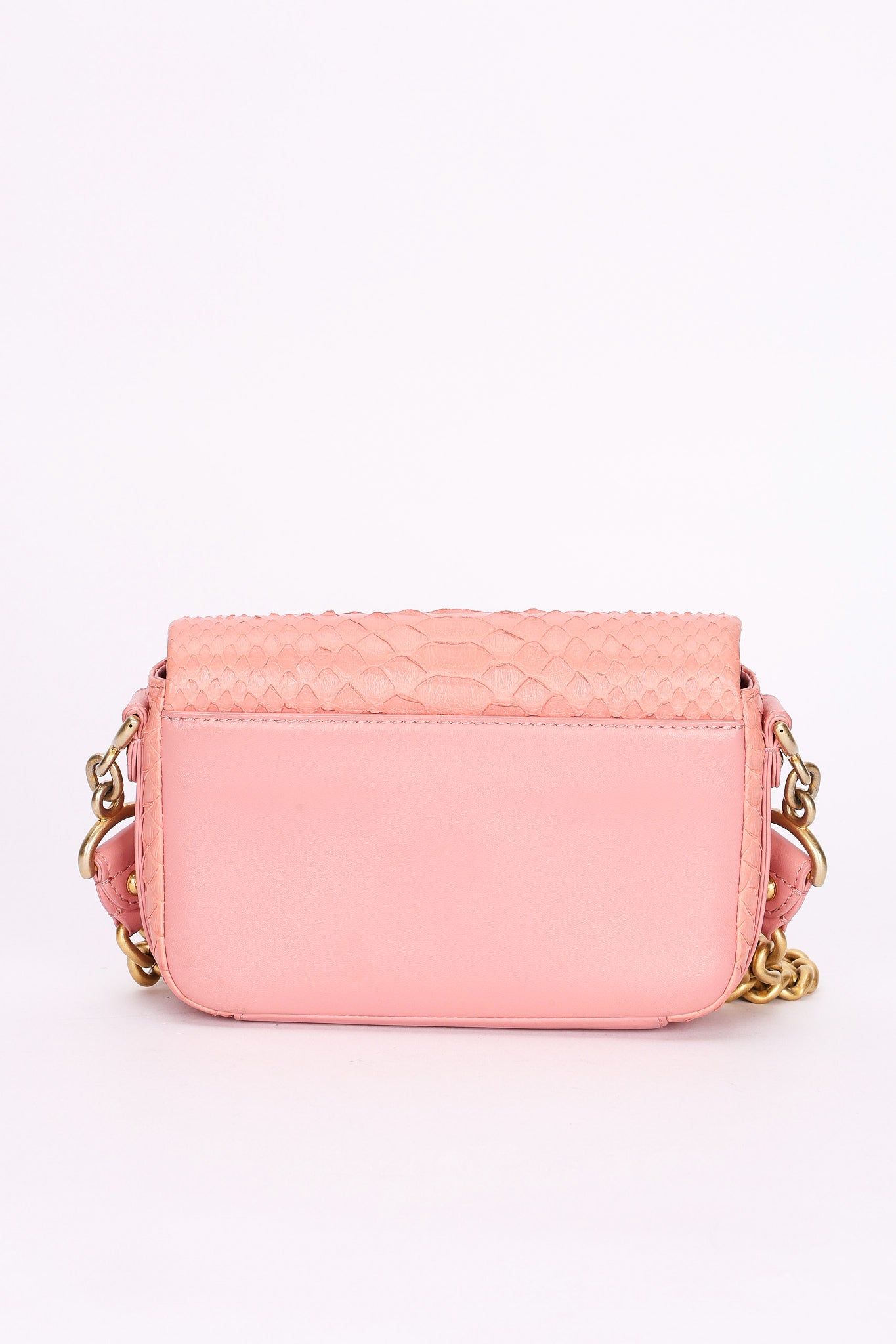 Chanel Bag Pink Lizard AGHW