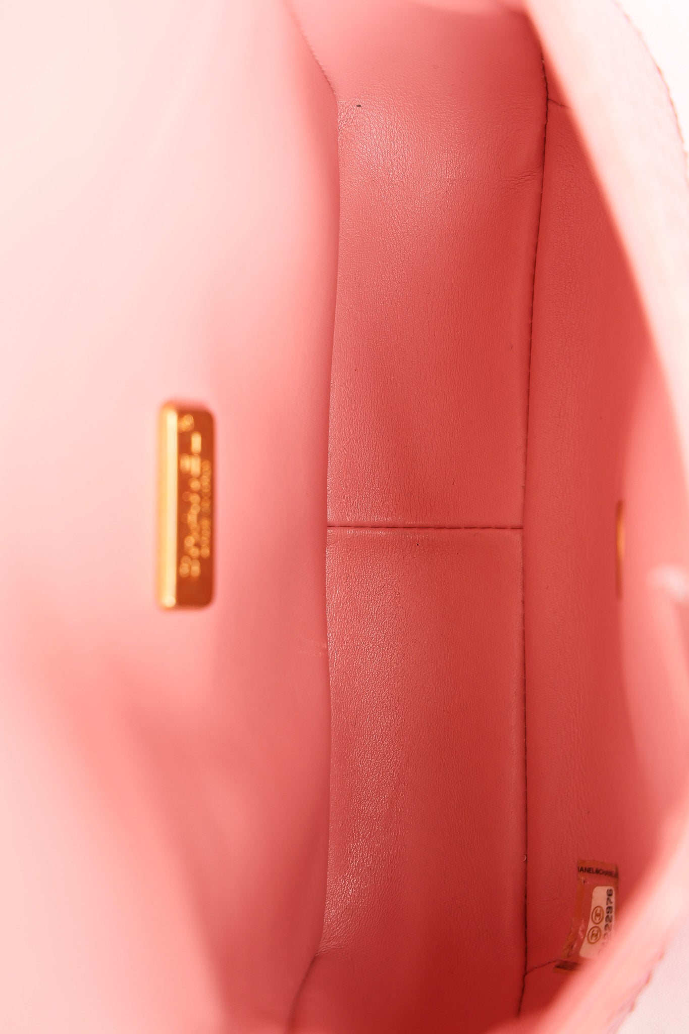 Chanel Bag Pink Lizard AGHW