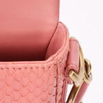 Chanel Bag Pink Lizard AGHW