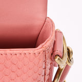 Chanel Bag Pink Lizard AGHW