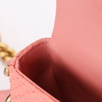 Chanel Bag Pink Lizard AGHW