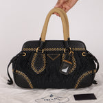 Prada Vitello Trimmed Paglia Frame Bag