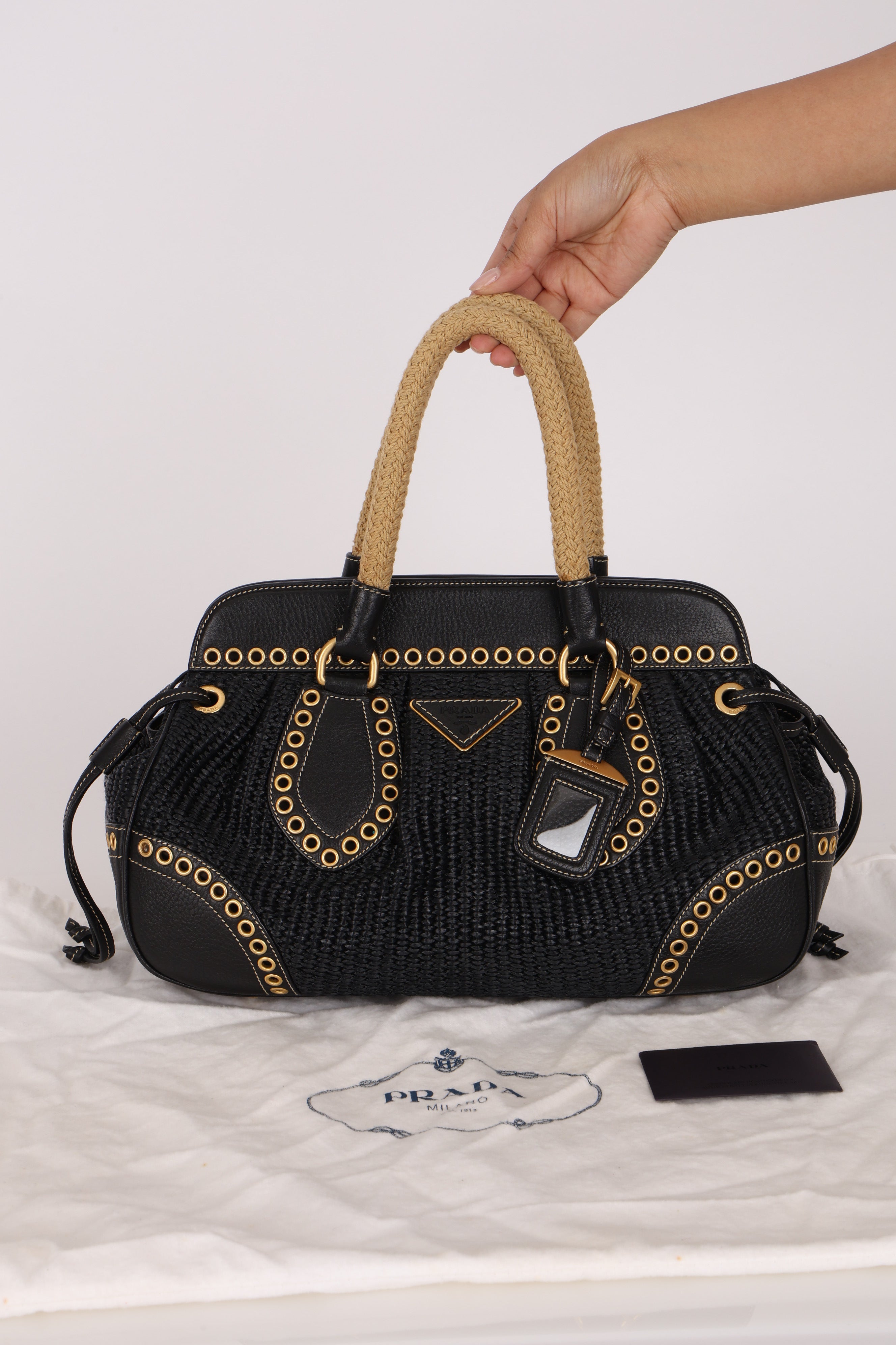 Prada Vitello Trimmed Paglia Frame Bag