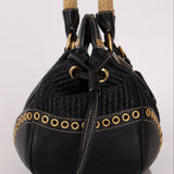 Prada Vitello Trimmed Paglia Frame Bag