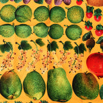 Gucci Fruit Scarf