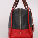 Loewe Lizard Trim Amazona 28 Bag