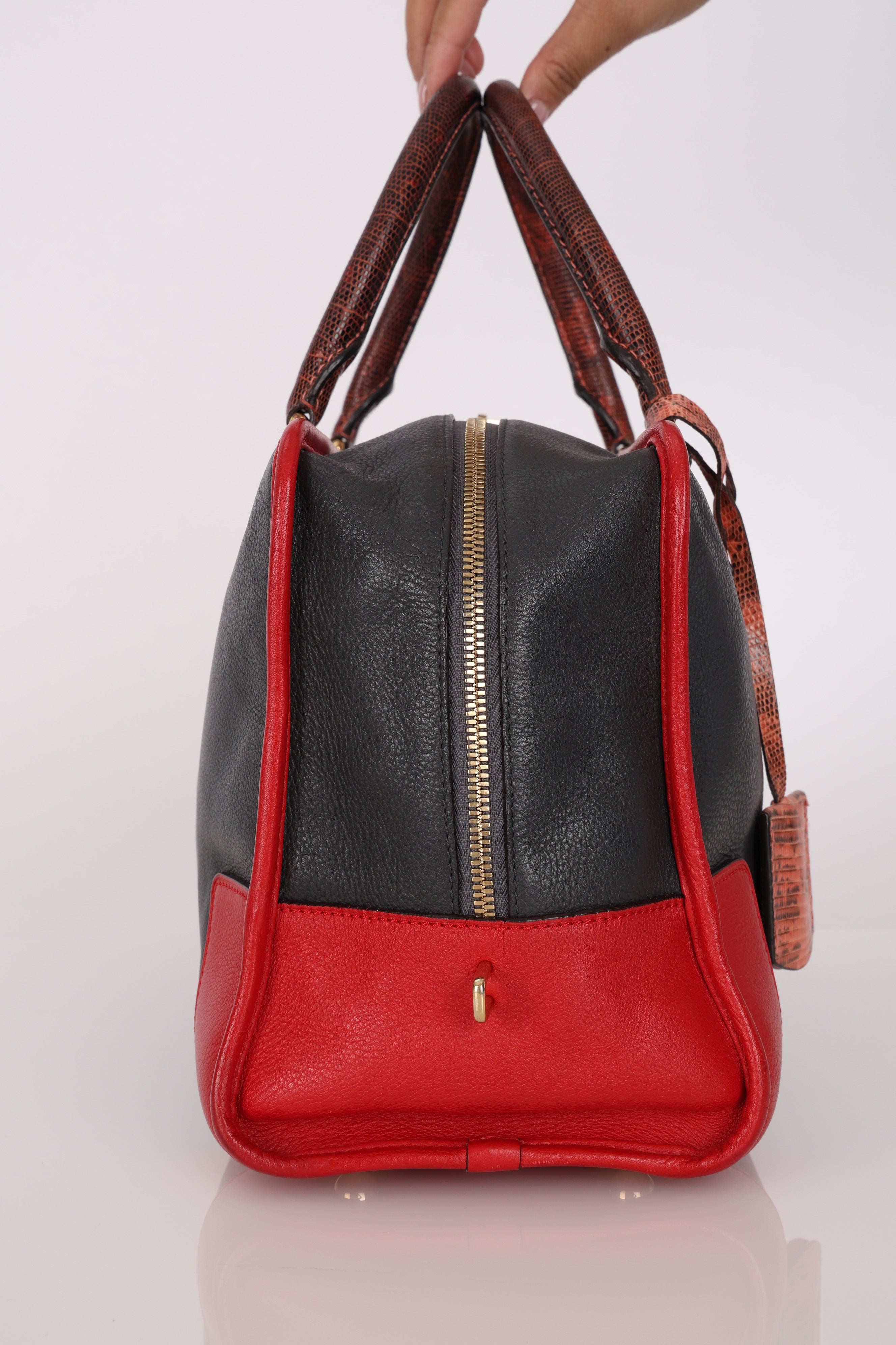 Loewe Lizard Trim Amazona 28 Bag