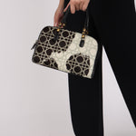 Dior Ponyhair Bowling Bag