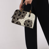Dior Ponyhair Bowling Bag