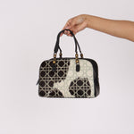 Dior Ponyhair Bowling Bag
