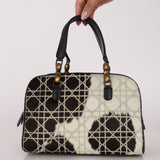 Dior Ponyhair Bowling Bag