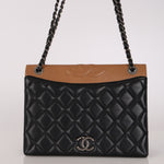 Chanel Ballerine Flap Bicolor Lambskin RHW