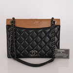Chanel Ballerine Flap Bicolor Lambskin RHW