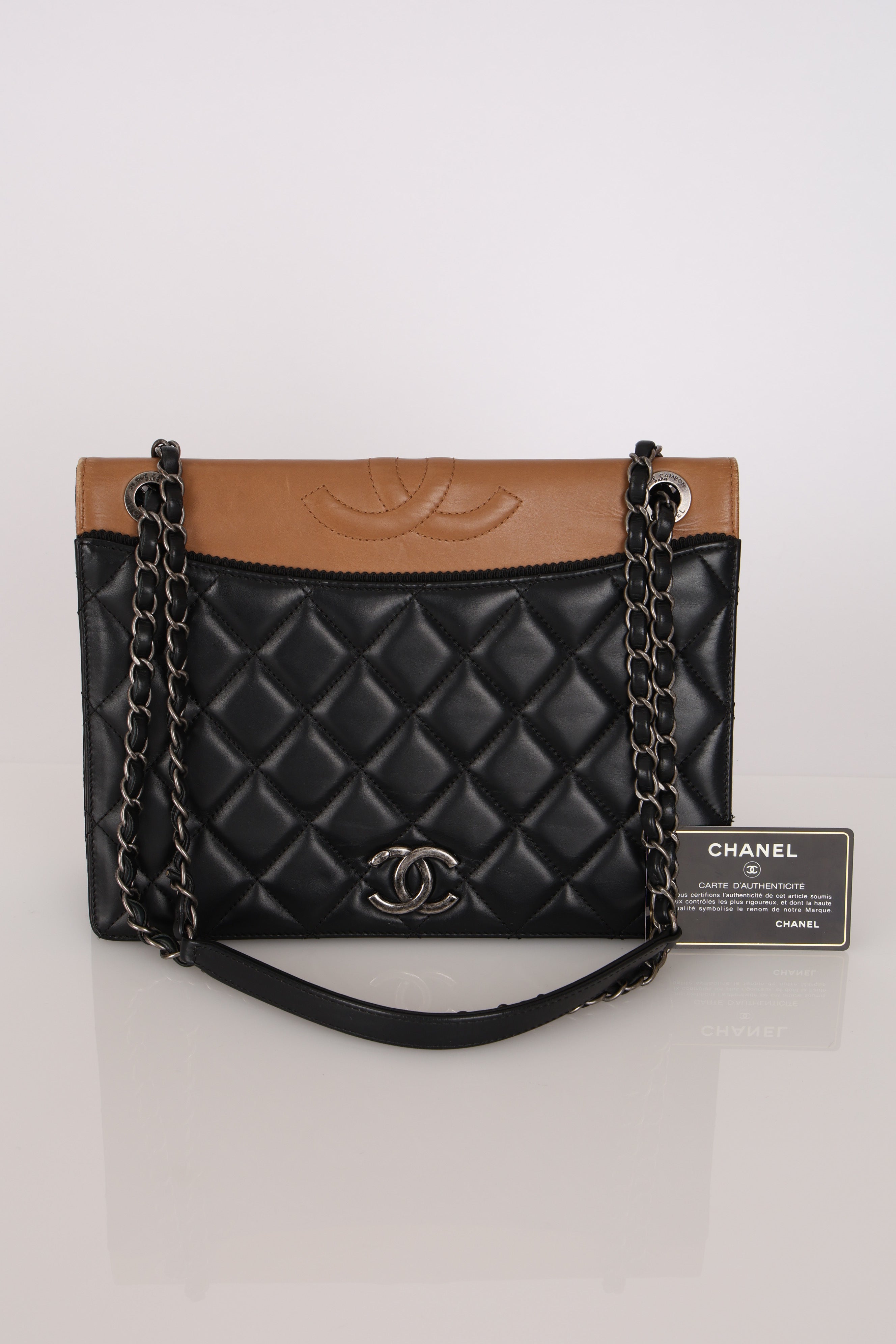 Chanel Ballerine Flap Bicolor Lambskin RHW