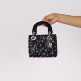 Dior Mini Sequin Lady