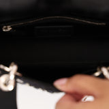 Dior Mini Sequin Lady