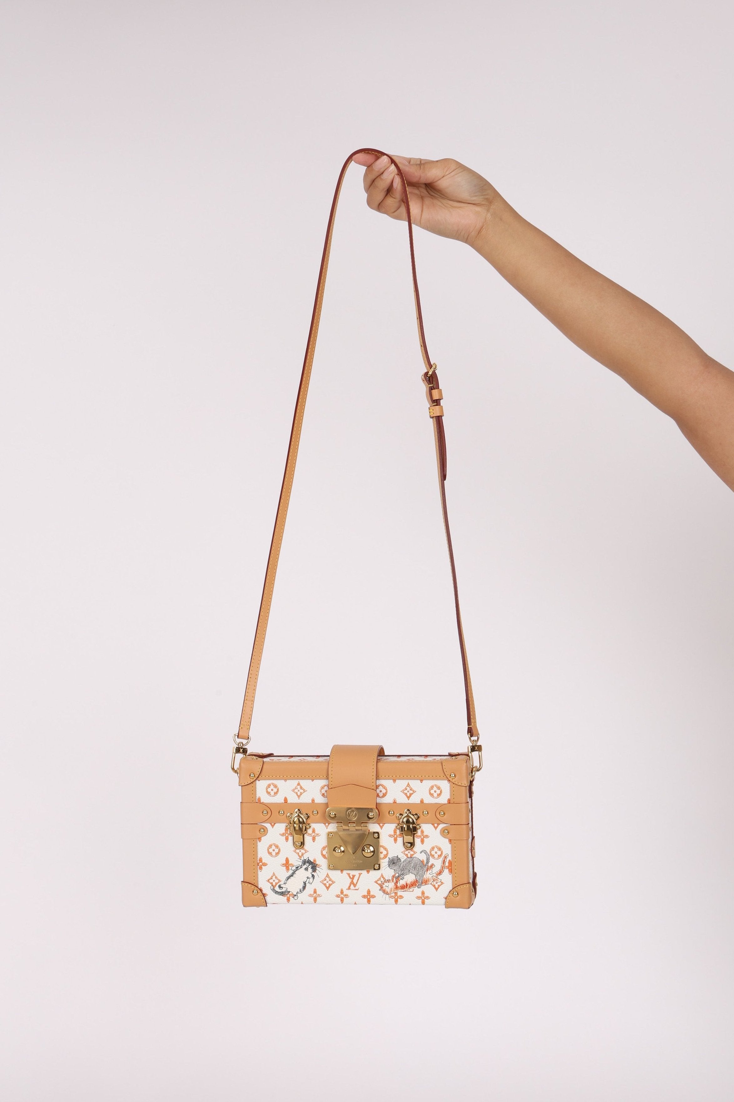 Ultra-Rare Louis Vuitton x Grace Coddington Petite Malle Trunk 2019 (DONE)