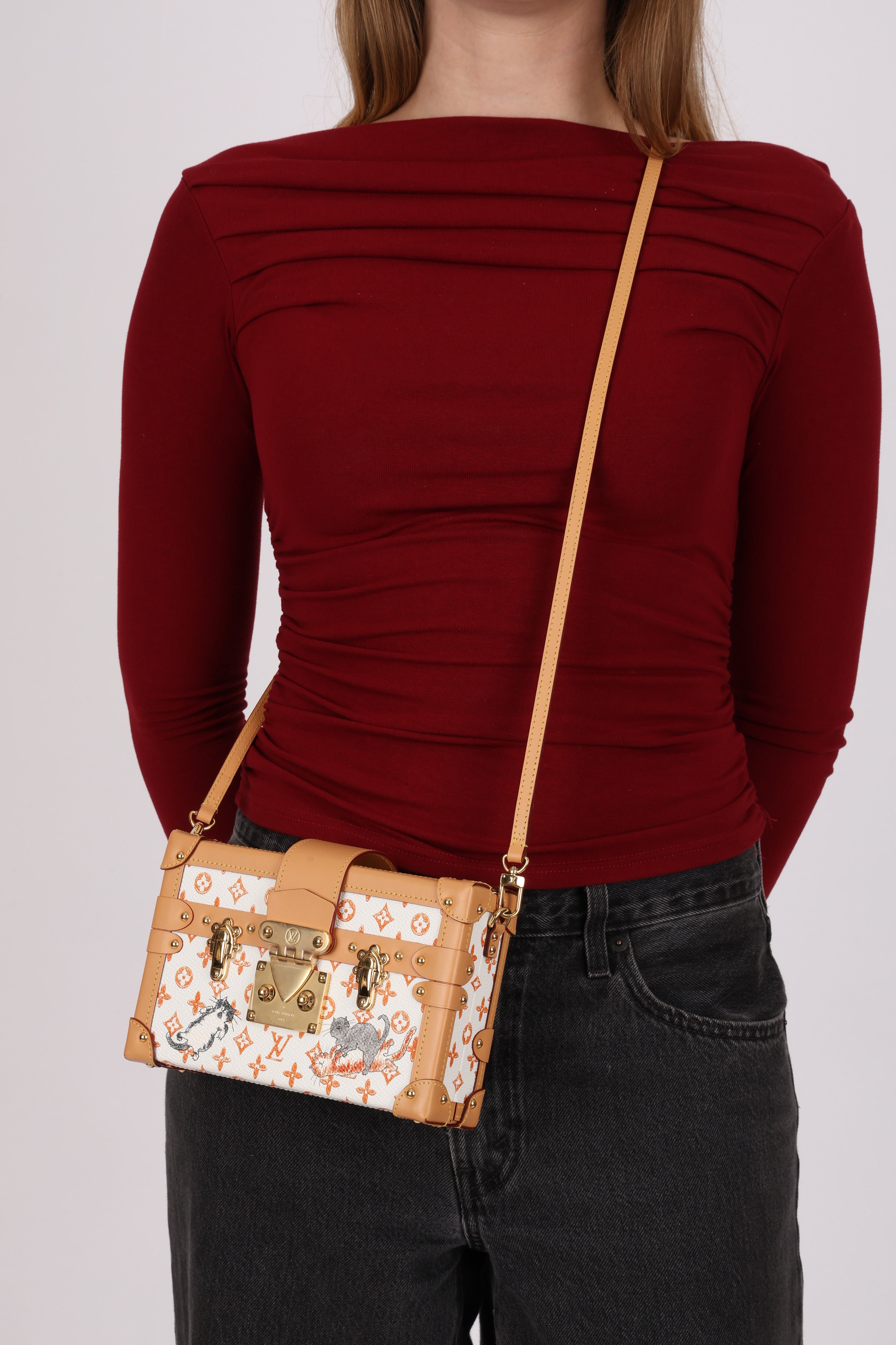 Ultra-Rare Louis Vuitton Catogram Petite Malle Trunk 2019