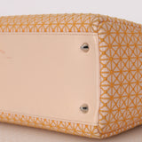 Dior Medium Lady Orange Embroidered