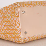 Dior Medium Lady Orange Embroidered
