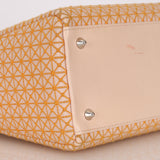 Dior Medium Lady Orange Embroidered
