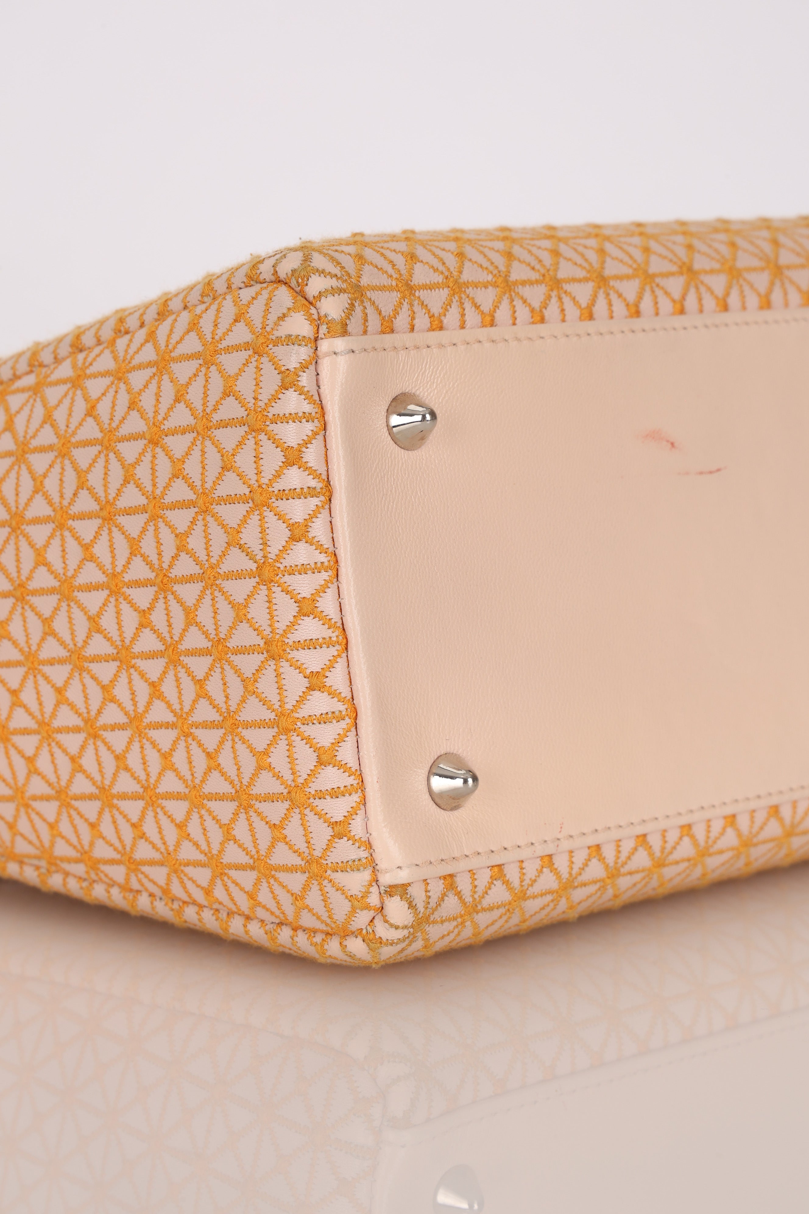 Dior Medium Lady Orange Embroidered