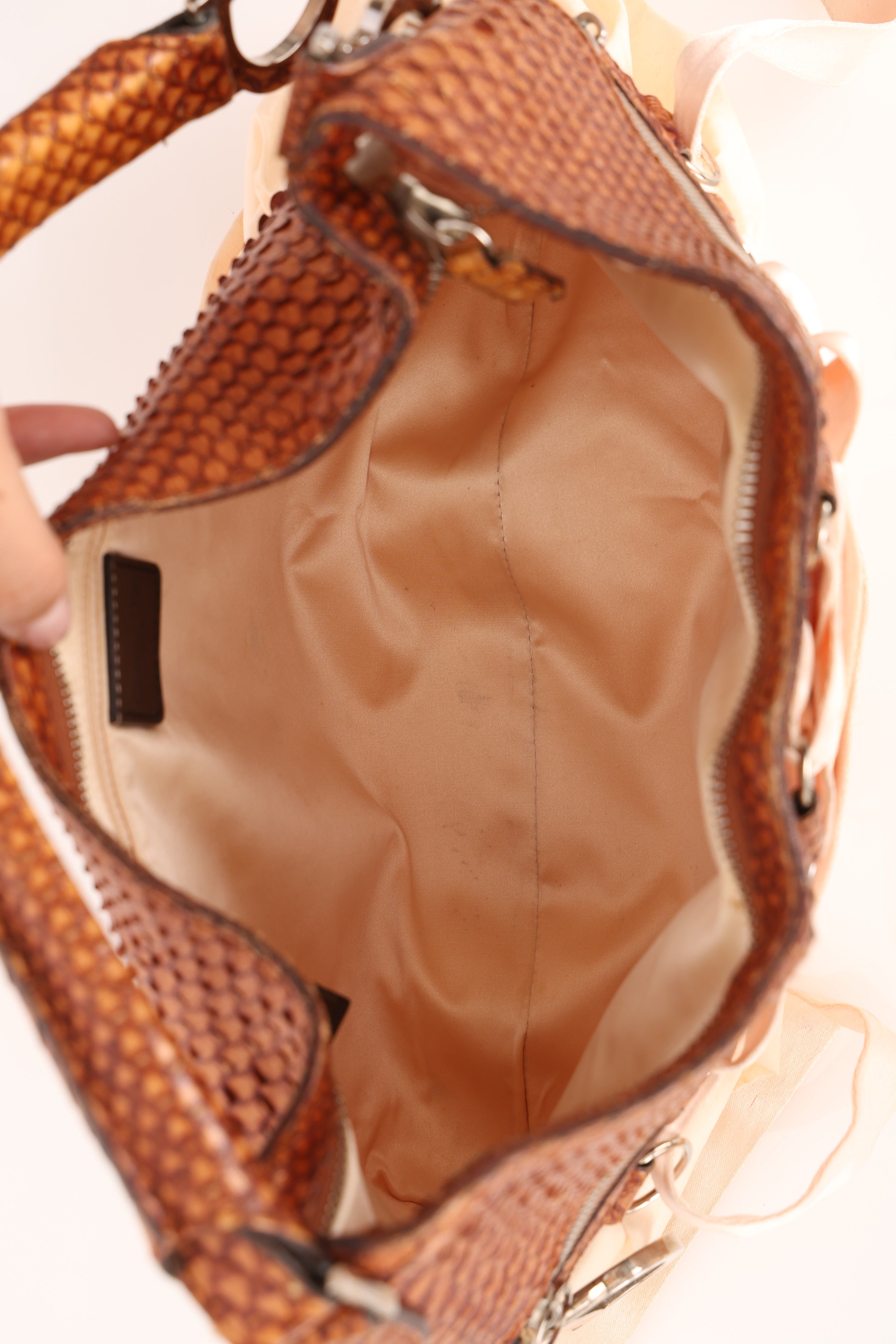 Christian Dior Ballet Corset Hobo Python and Fabric