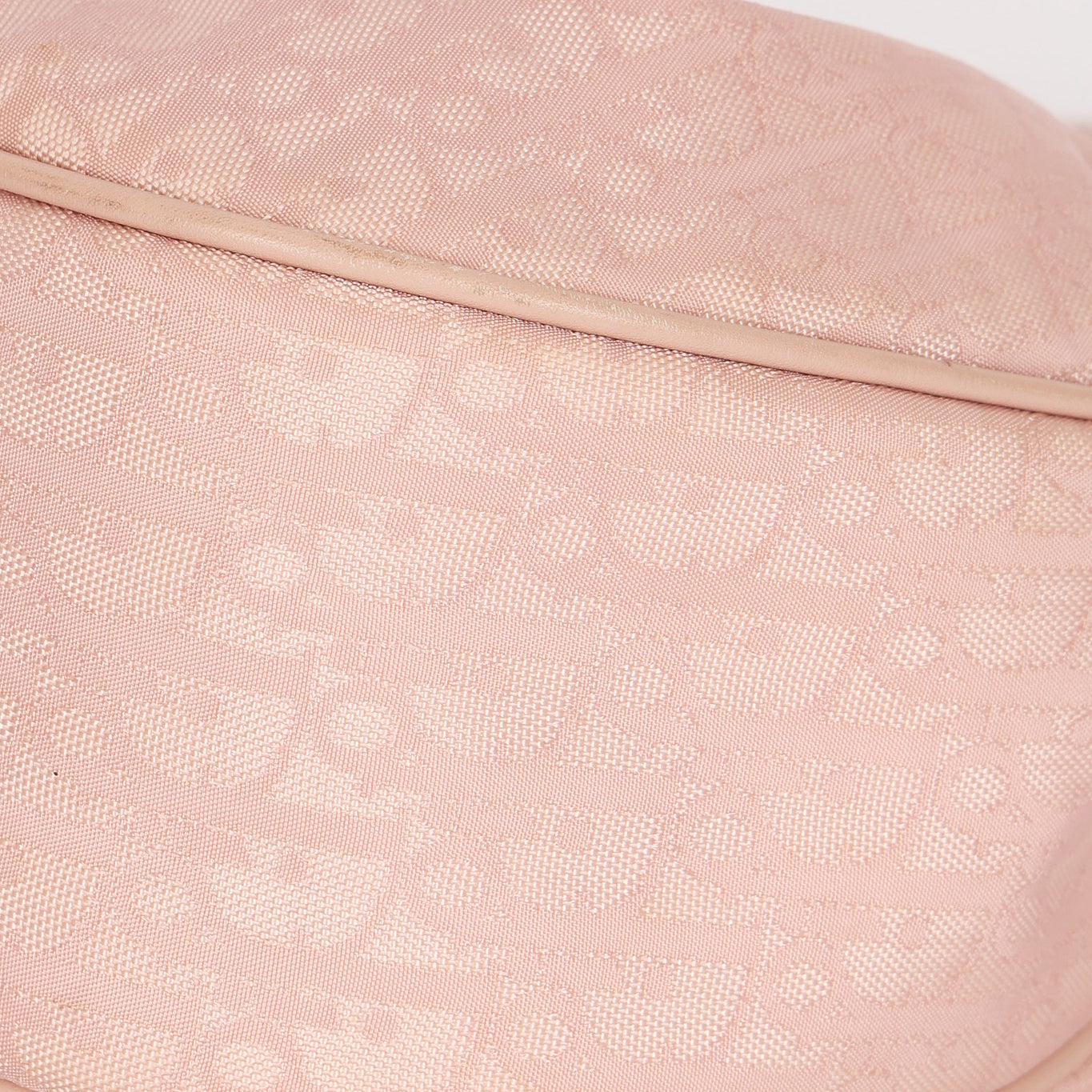 Dior Trotter Pink Shoulder Bag