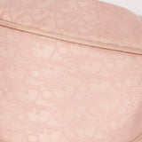 Dior Trotter Pink Shoulder Bag