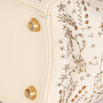 Dior Astrology Embroidered Medium Lady