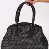 Dior Oblique Detective Frame Shoulder Bag