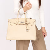 Hermès Birkin 35 (color + leather) PHW