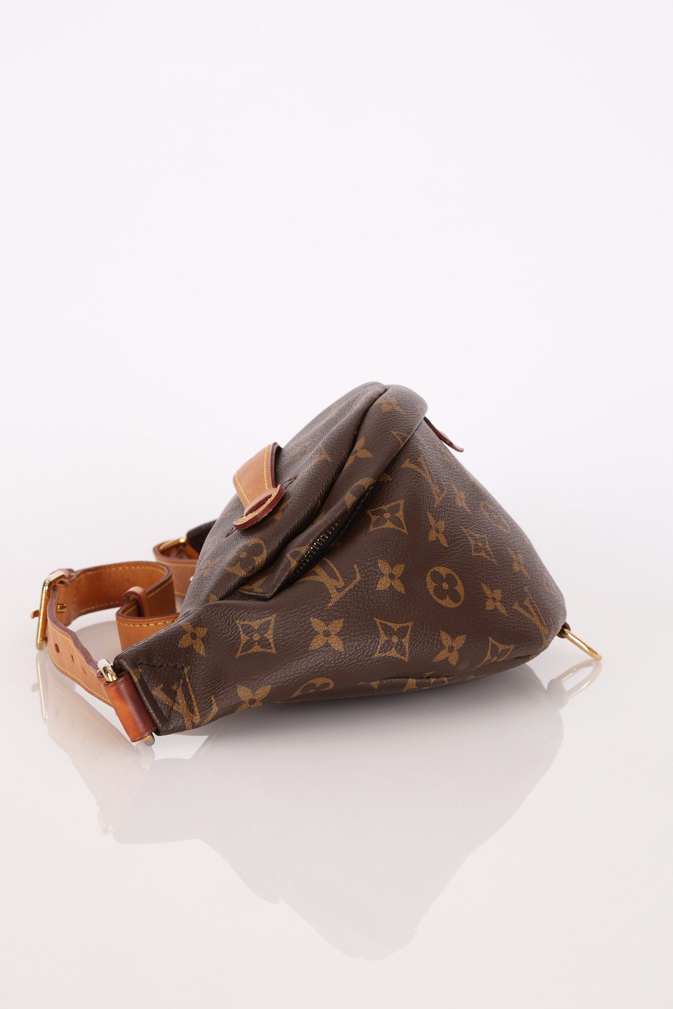 Louis Vuitton Monogram Bum Bag