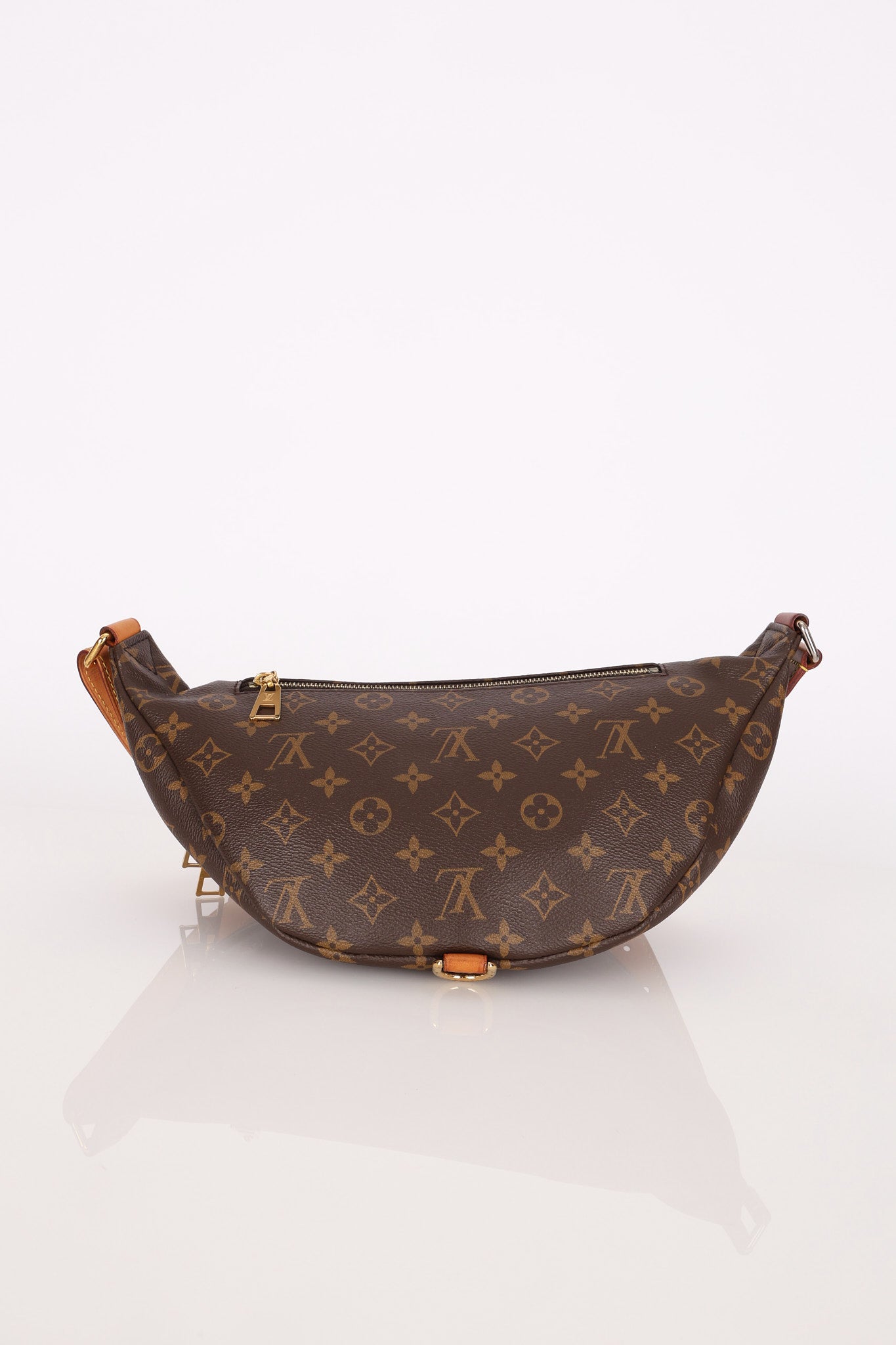 Louis Vuitton Monogram Bum Bag