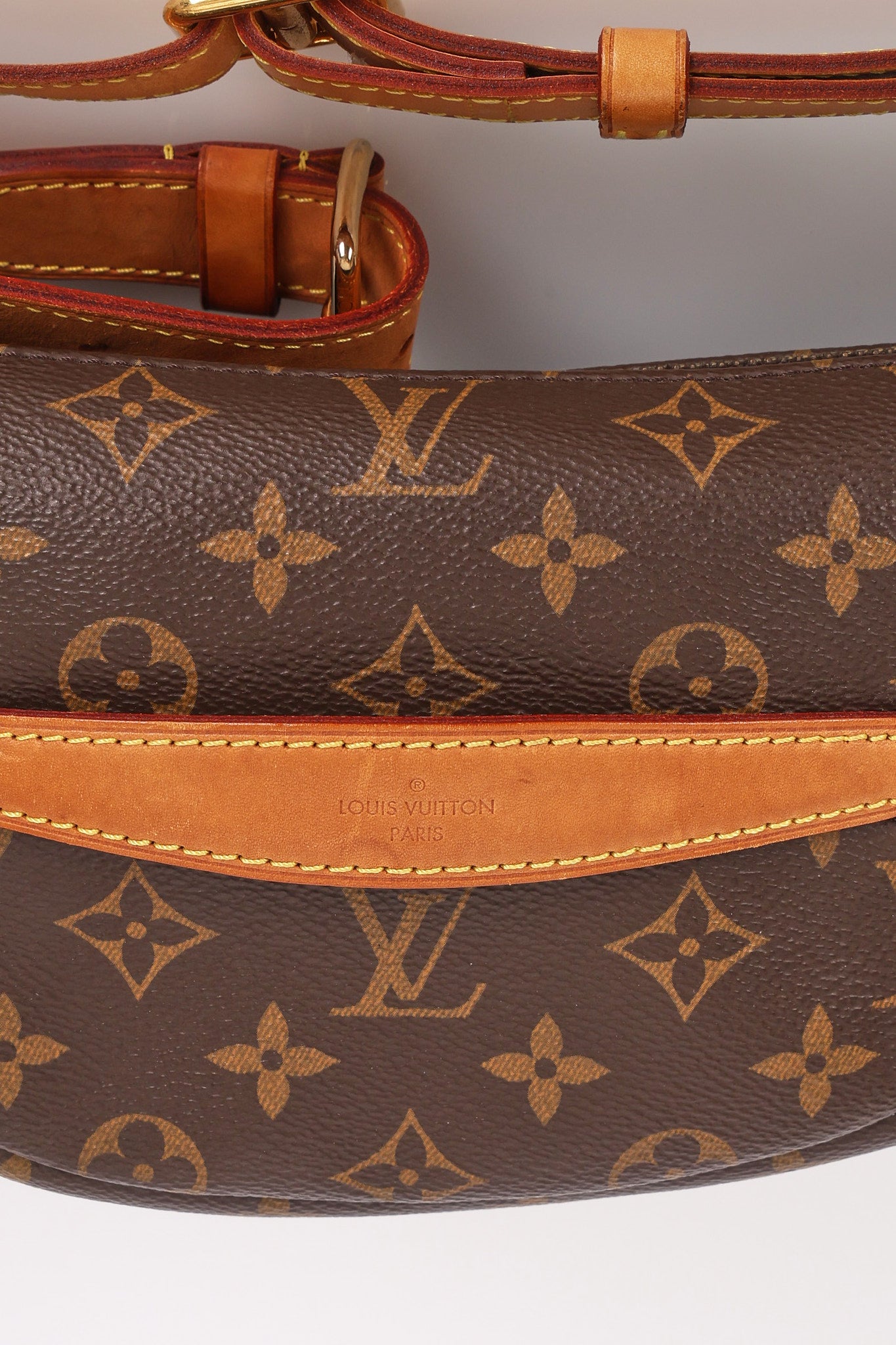 Louis Vuitton Monogram Bum Bag