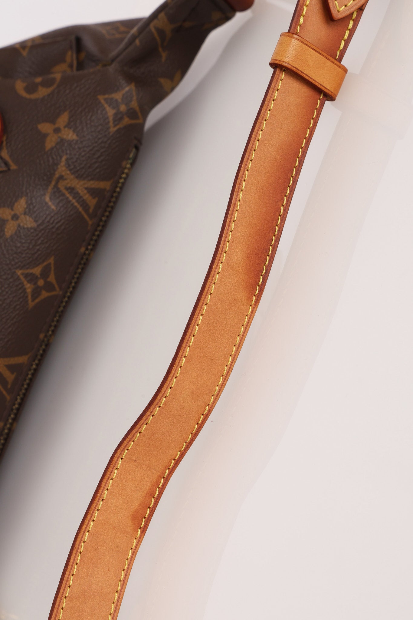 Louis Vuitton Monogram Bum Bag