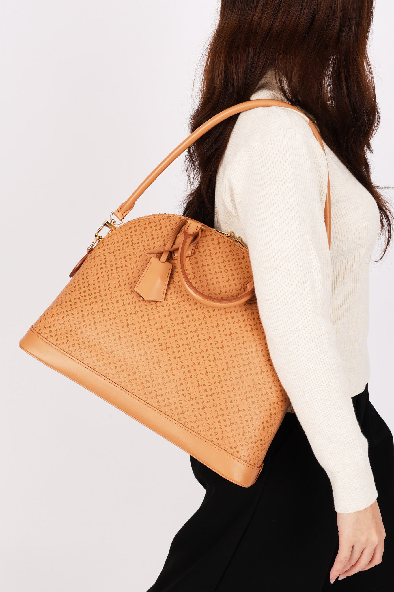 Louis Vuitton Mini Monogram Soft Alma MM
