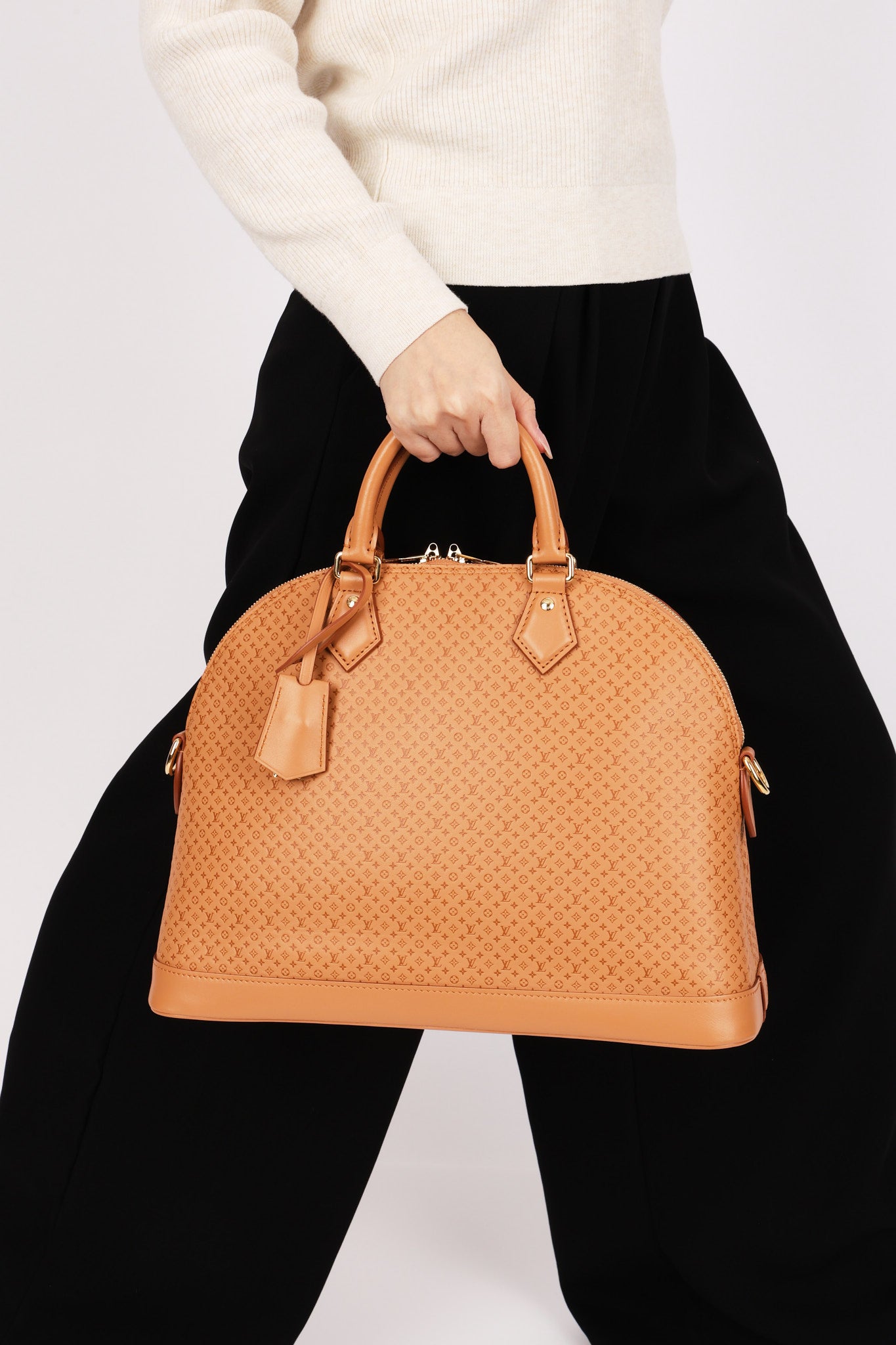 Louis Vuitton Mini Monogram Soft Alma MM