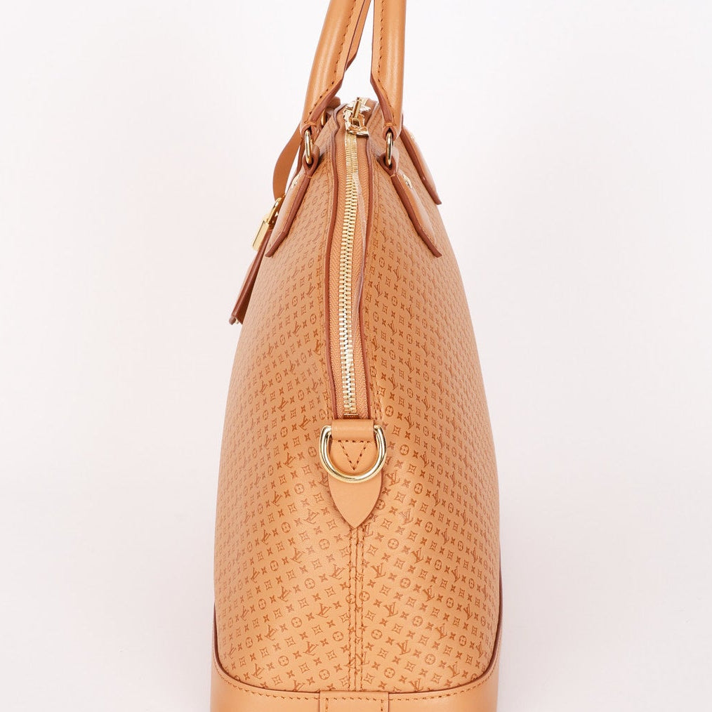 Louis Vuitton Mini Monogram Soft Alma MM